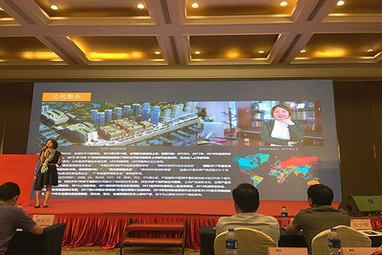 "Dragon Series" and "Magic City" hit new sparks in the LED industry! "Dragon Series" and "Magic City" hit new sparks in the LED industry!