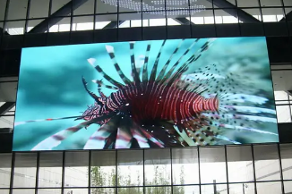 How Much Do You Know About the Core Knowledge of LED? How Much Do You Know About the Core Knowledge of LED?