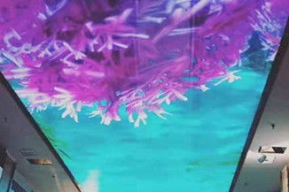 What is LED Sky Screen? What is LED Sky Screen?