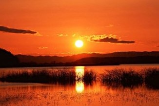 How is the Curved LED Transparent Screen Made? How is the Curved LED Transparent Screen Made?