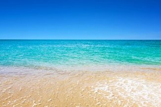 Is the LED Transparent Screen Fully Transparent? Is the LED Transparent Screen Fully Transparent?