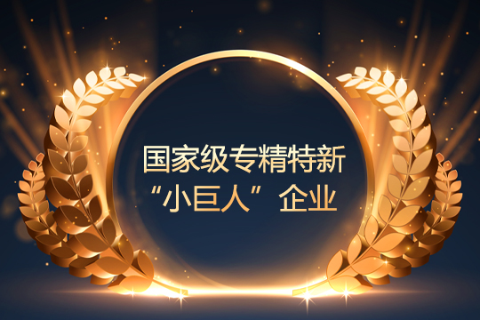 LCF was recognized as a “Small Giant” enterprise in China!