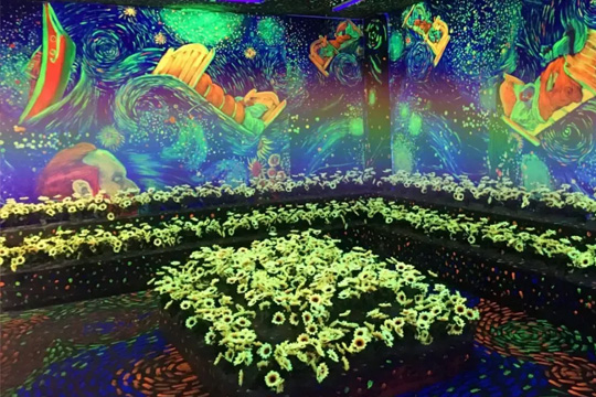 LED bi-colour display: the fusion of technology and visual art