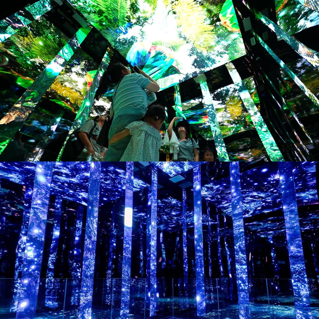 17.jpg Immersive LED Screen